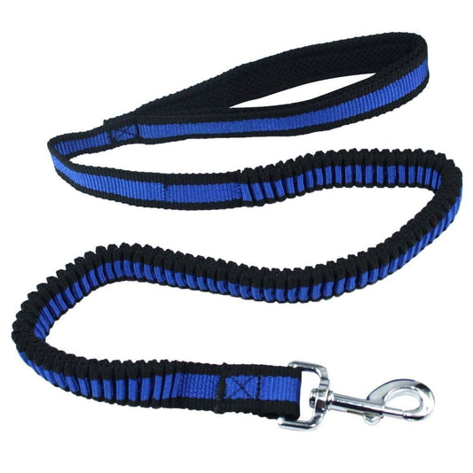 Blue/ Black Bungee Dog Lead