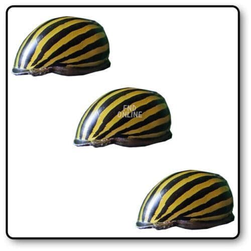 Zebra Nerite Snail x3